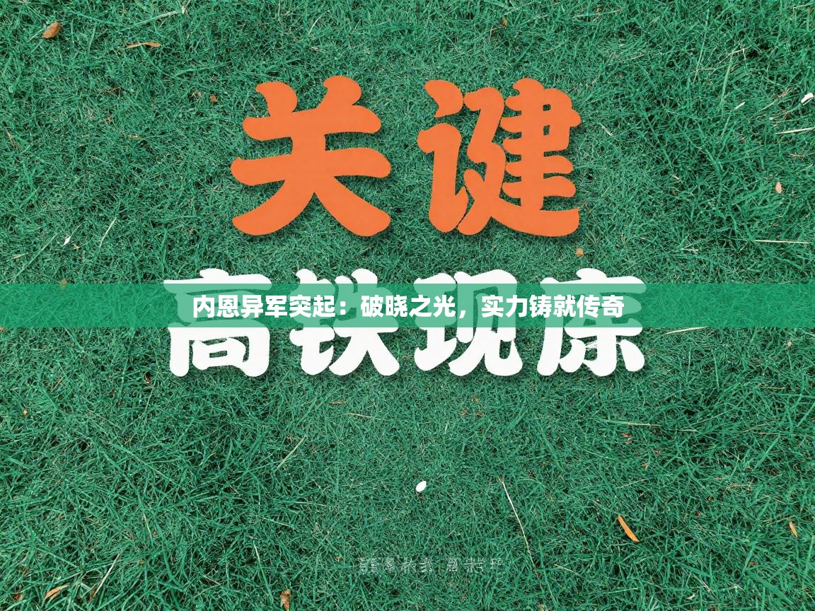 内恩异军突起:破晓之光,实力铸就传奇 第2张