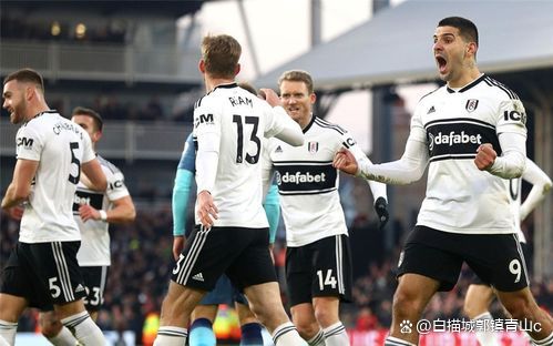 爱游戏app下载-包含富勒姆击败水晶宫，取得连胜的词条