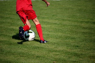 卡尔蒂斯防守体系稳固,力求半决赛再创佳绩